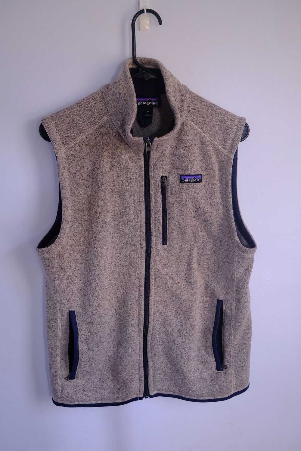 Patagonia Patagonia Better Sweater Vest - image 1