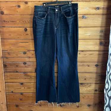 Judy Blue Judy Blue Flare Jeans Size 18W NWOT