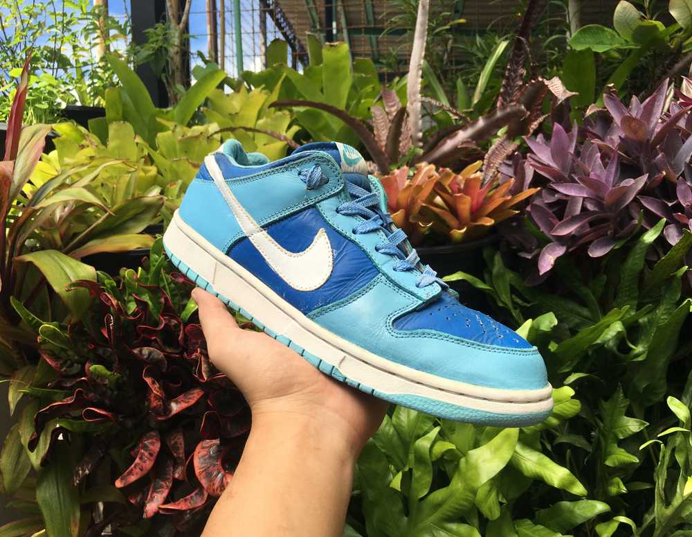 Nike × Vintage 🔥 Rare Vintage Nike Dunk Low Argo… - image 1