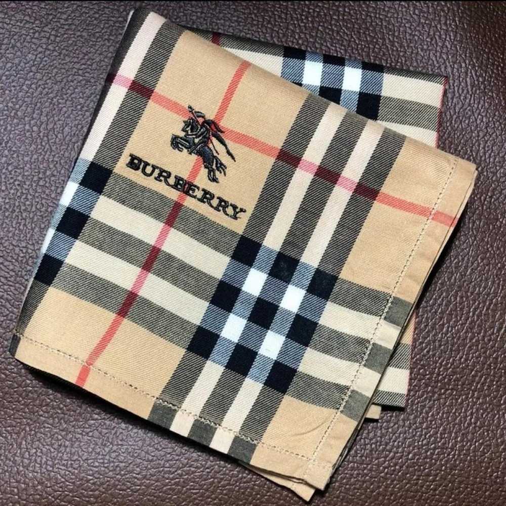 Burberry Scarf - image 2