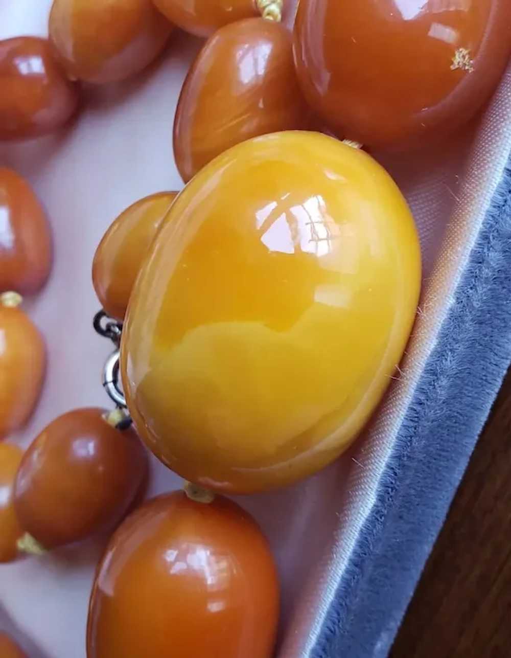 Huge Natural Butterscotch Eggyolk Amber  Necklace… - image 10