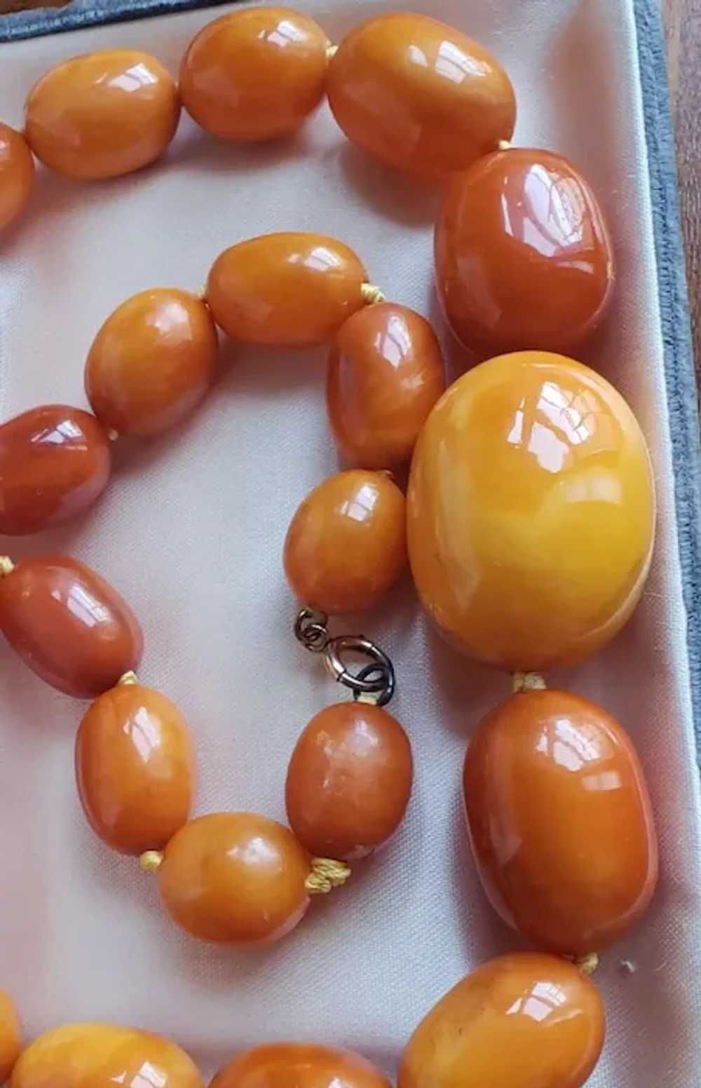 Huge Natural Butterscotch Eggyolk Amber  Necklace… - image 11