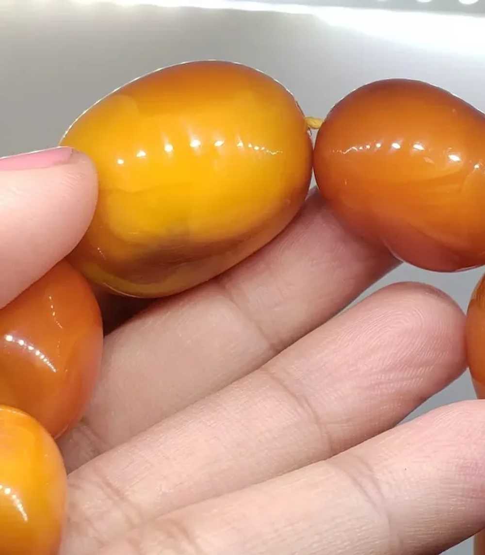 Huge Natural Butterscotch Eggyolk Amber  Necklace… - image 12