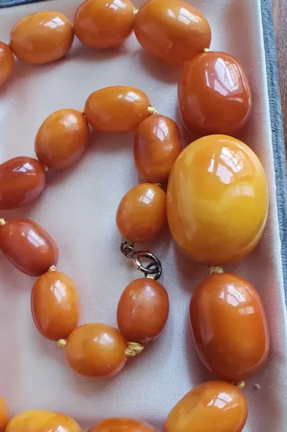 Huge Natural Butterscotch Eggyolk Amber  Necklace… - image 2