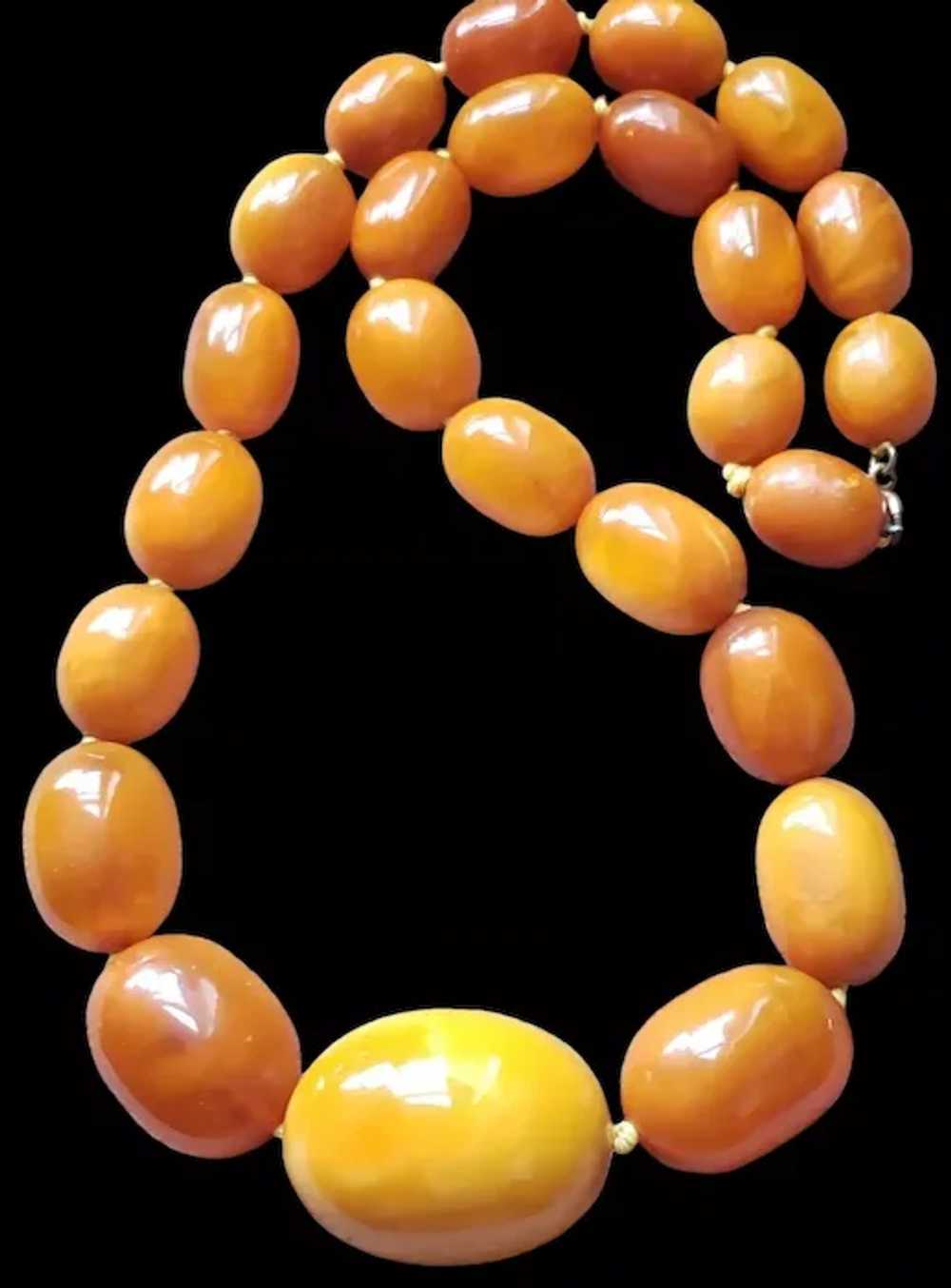 Huge Natural Butterscotch Eggyolk Amber  Necklace… - image 3