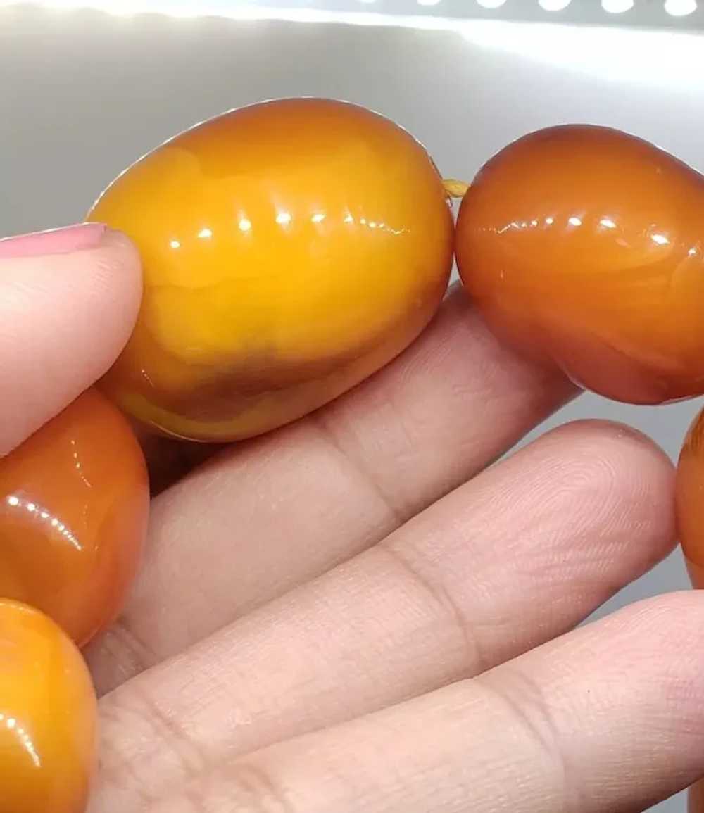 Huge Natural Butterscotch Eggyolk Amber  Necklace… - image 4