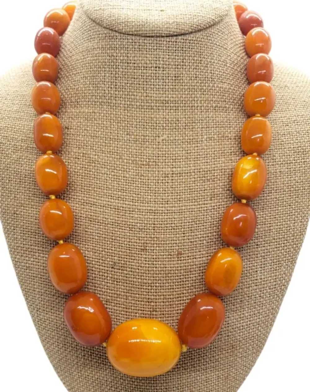 Huge Natural Butterscotch Eggyolk Amber  Necklace… - image 5