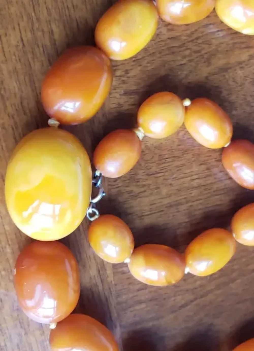 Huge Natural Butterscotch Eggyolk Amber  Necklace… - image 6