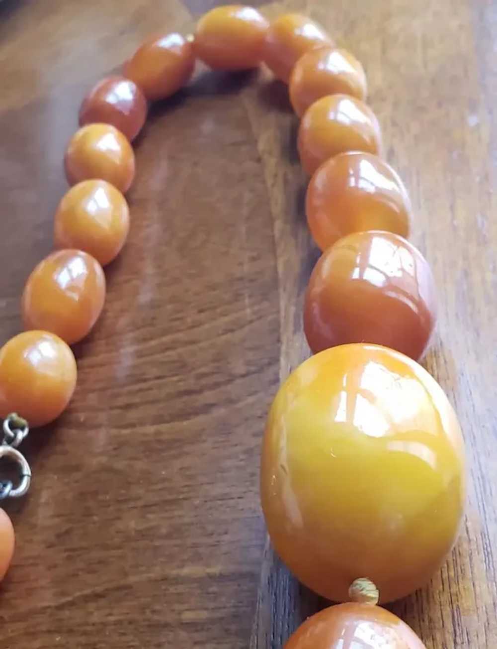 Huge Natural Butterscotch Eggyolk Amber  Necklace… - image 8