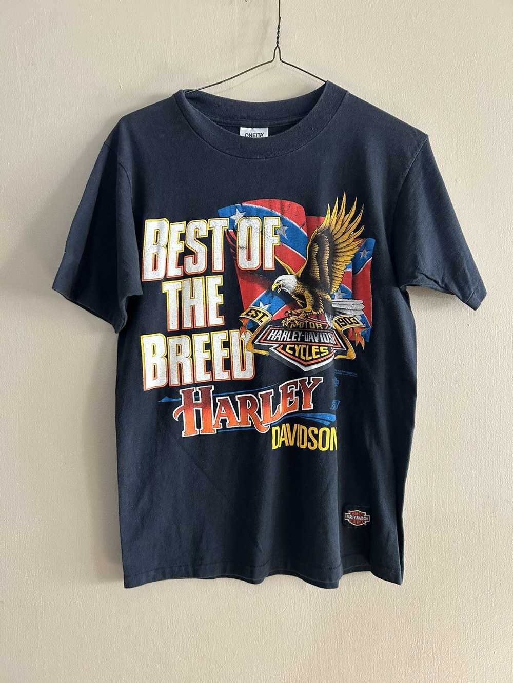 Harley Davidson × Vintage Best of the Breed Vinta… - image 1