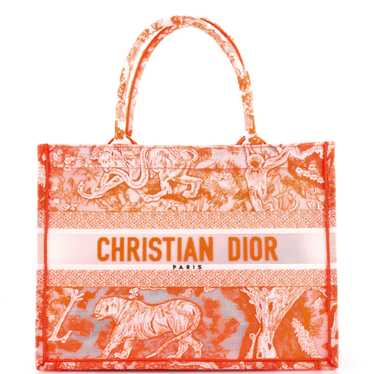 Christian Dior Book Tote Embroidered Transparent C