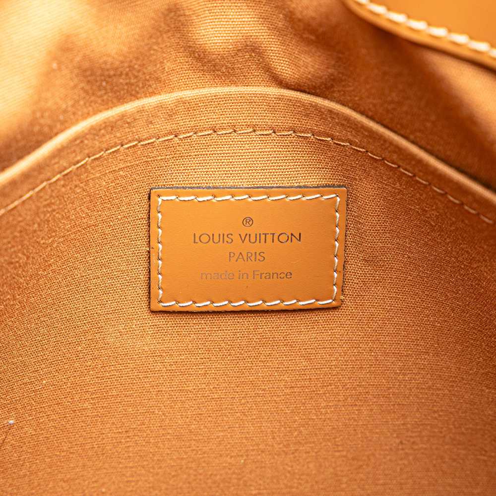 Brown Louis Vuitton Epi Passy PM Handbag - image 6