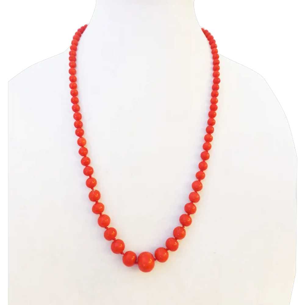 26" Deep Red Coral Hand Knotted Graduated Bead Ne… - image 3