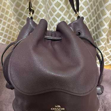 Purchase from America: COACH Bucket Bag in Brown,… - image 1