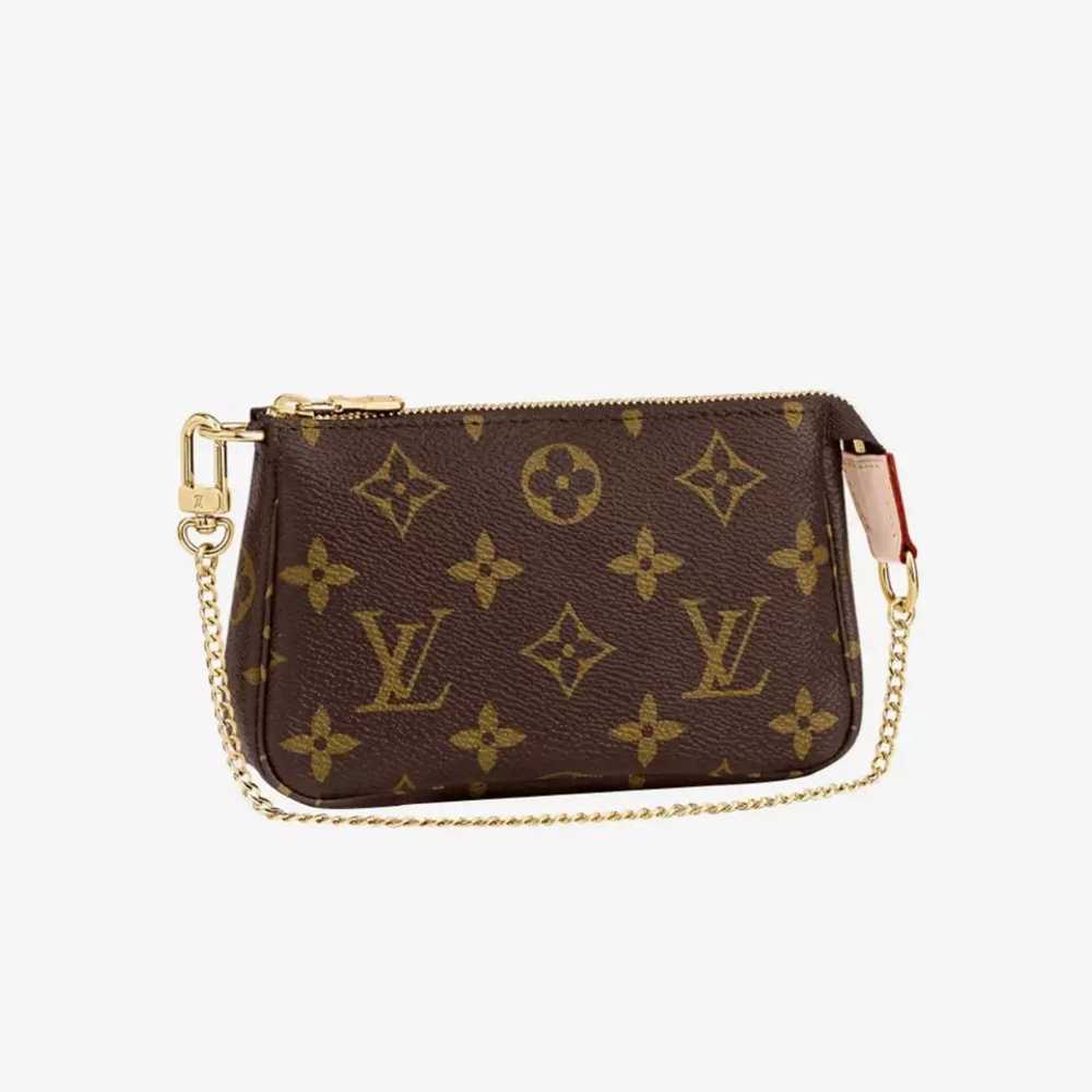 Louis Vuitton Pochette Accessoires Monogram Mini … - image 3