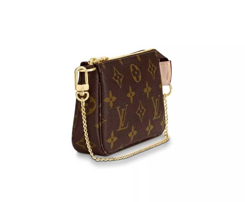 Louis Vuitton Pochette Accessoires Monogram Mini … - image 4