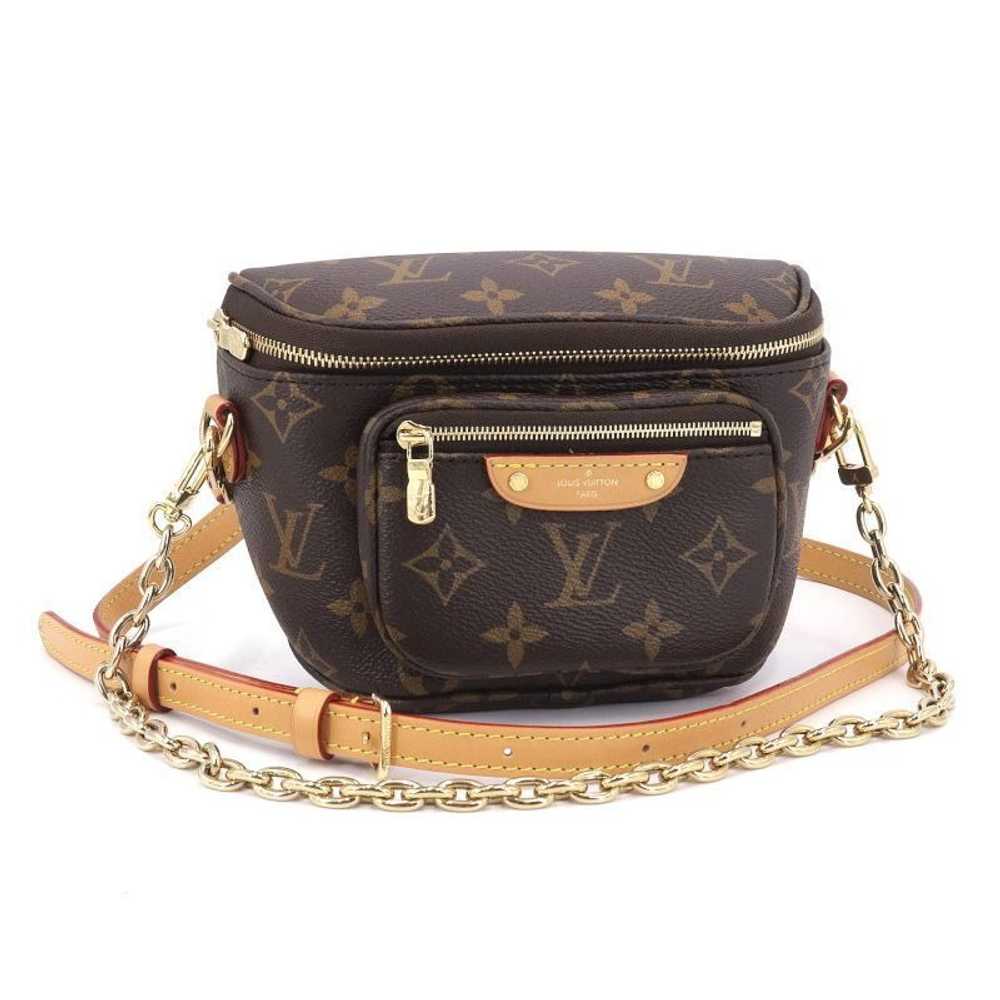 Louis Vuitton Mini Bumbag Monogram - image 1