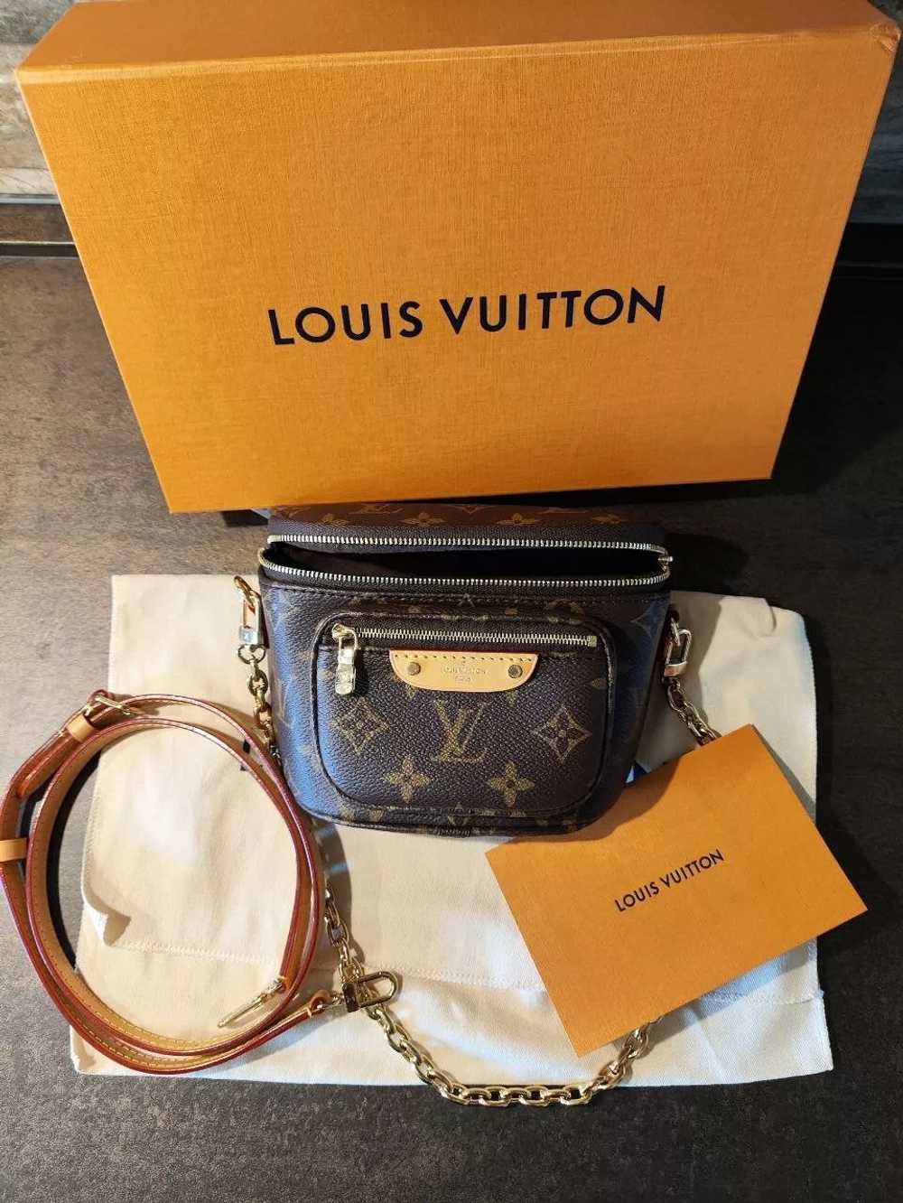 Louis Vuitton Mini Bumbag Monogram - image 7