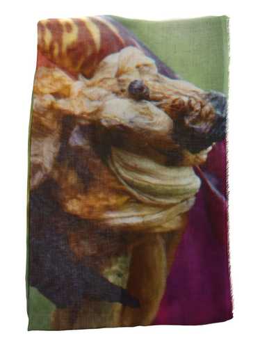 FALIERO SARTI SCARF - image 1