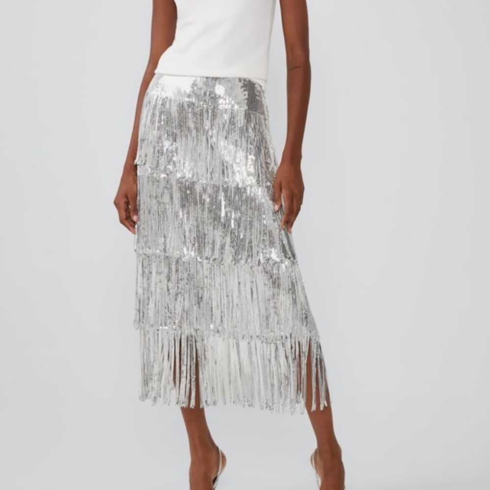 Zara Silver Limited Edition Fringe Sequin Skirt - image 2