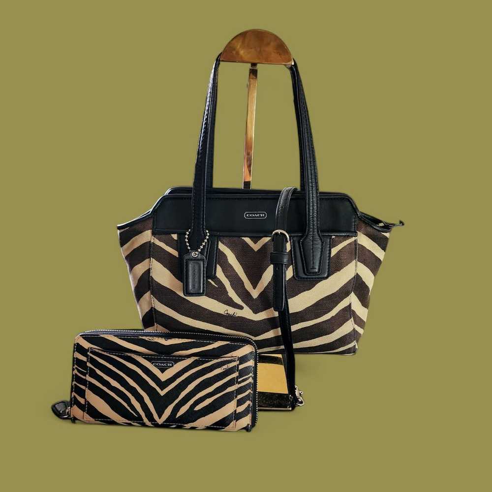 Coach Taylor zebra print canvas and black leather… - image 2