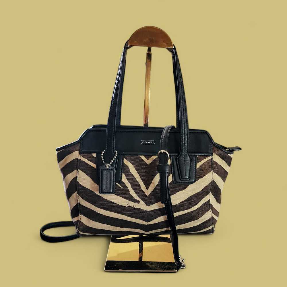 Coach Taylor zebra print canvas and black leather… - image 9