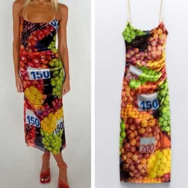 Zara Ruched Mesh Fruit Stand Maxi Dress With Spagh