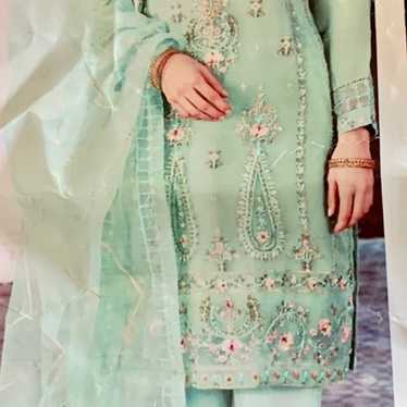 Pakistani/ Indian beautiful organza Organza dress 