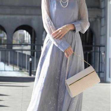 Gray sheer embroidered long dress