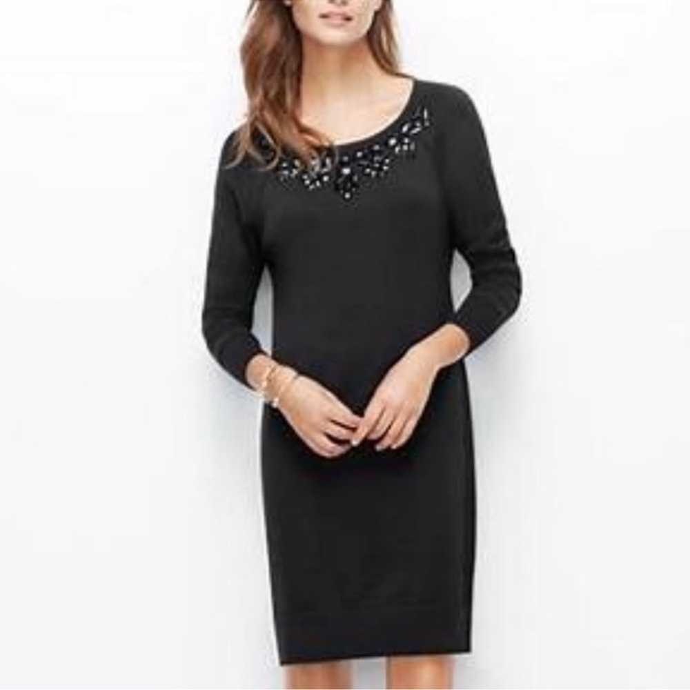 Ann Taylor Beaded Chest Long Sleeve Sweater Dress… - image 1