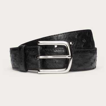 Tecovas Men's Ostrich Belt - Midnight Ostrich