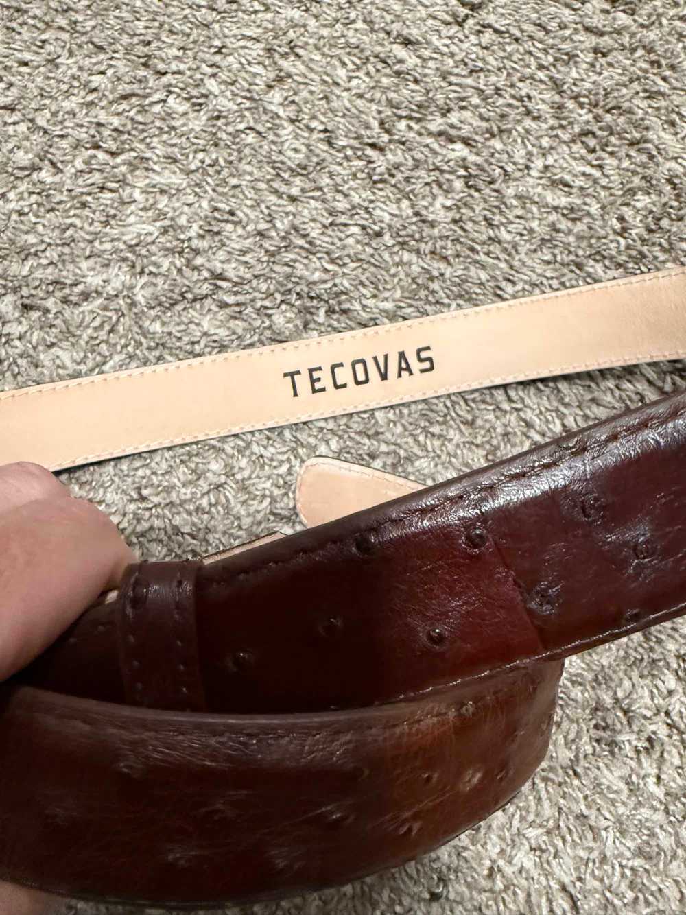 Tecovas Men's Ostrich Belt - Mahogany Ostrich - image 3