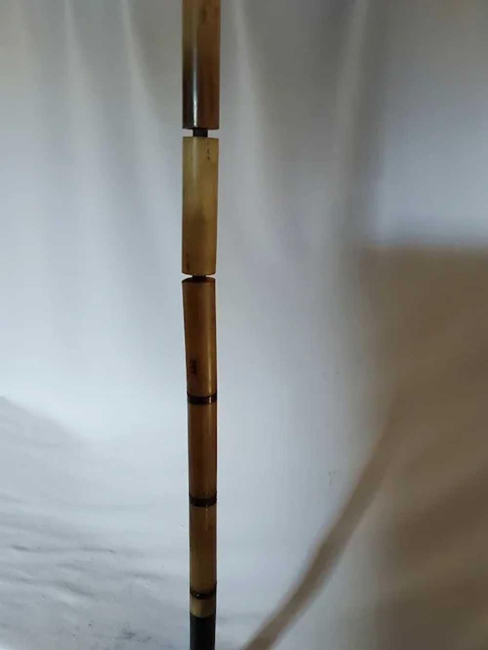 Antique Hand Carved Horn Walking Stick Cane, Dog … - image 10