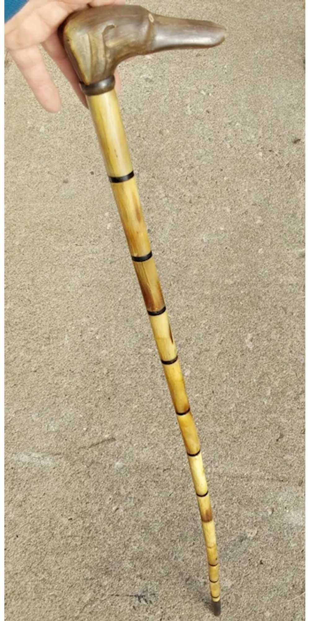 Antique Hand Carved Horn Walking Stick Cane, Dog … - image 12