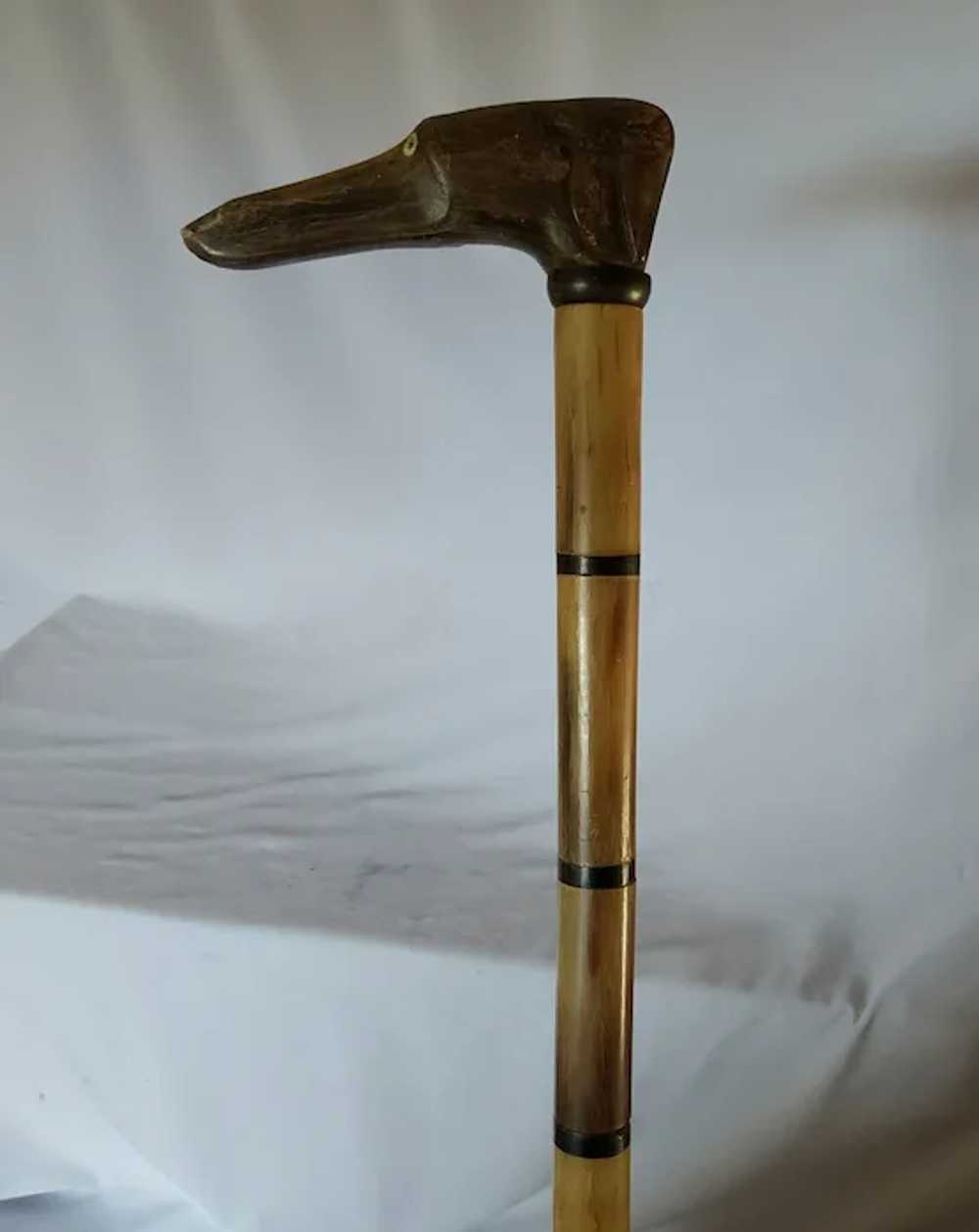 Antique Hand Carved Horn Walking Stick Cane, Dog … - image 2