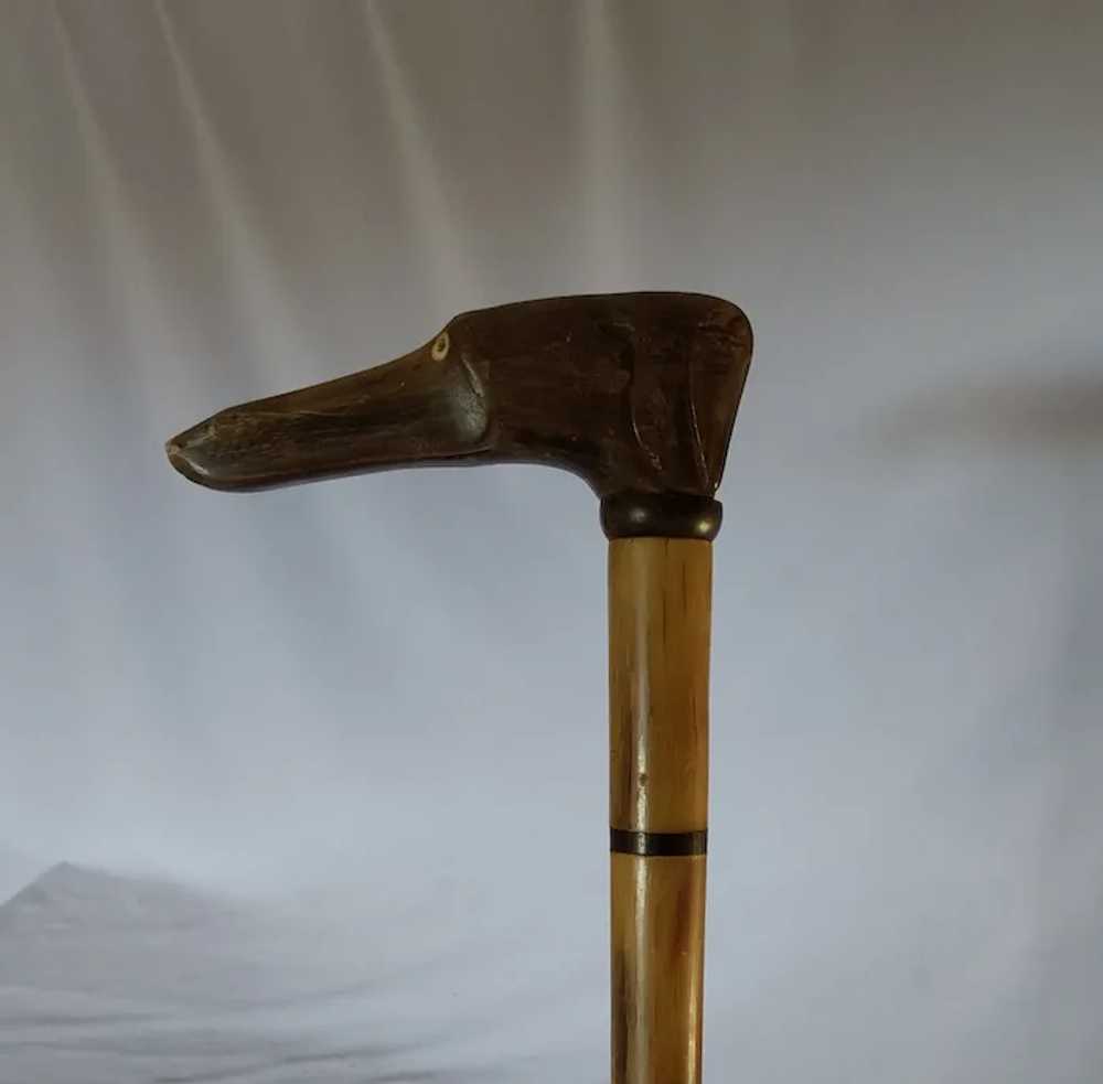 Antique Hand Carved Horn Walking Stick Cane, Dog … - image 3