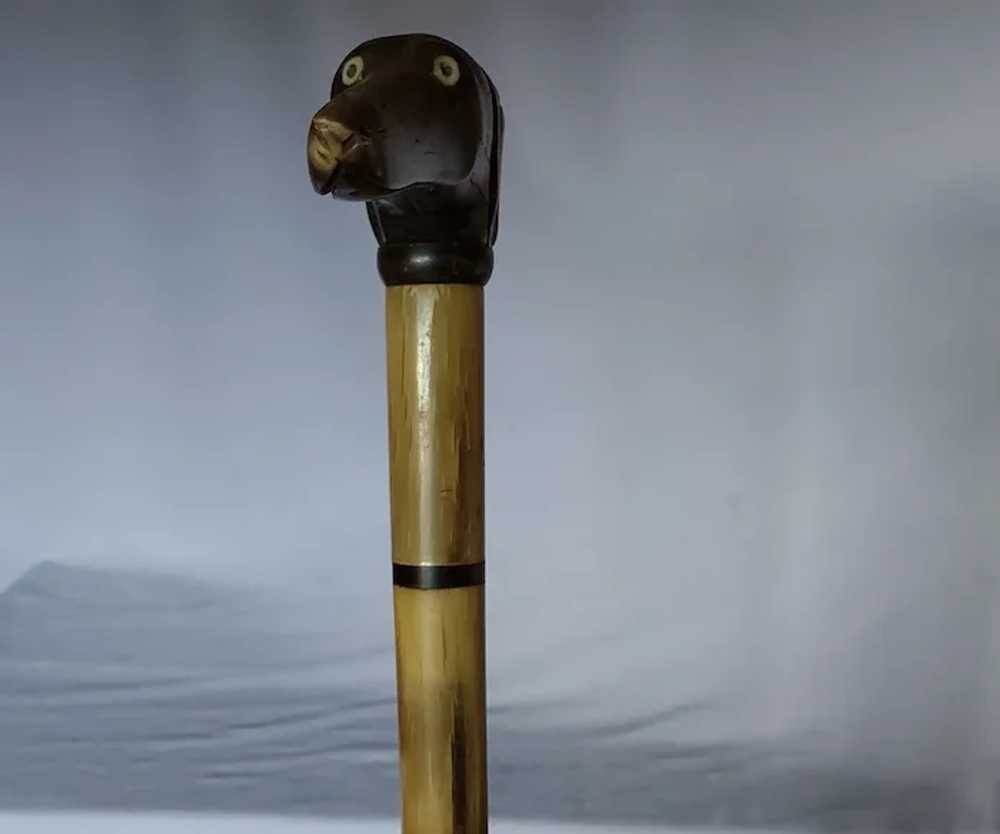 Antique Hand Carved Horn Walking Stick Cane, Dog … - image 4