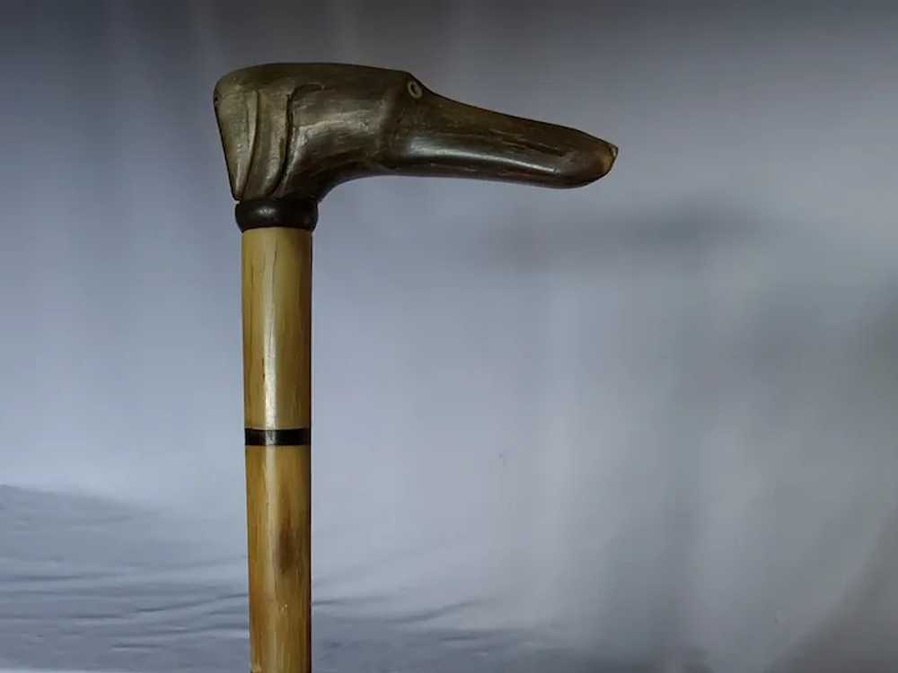 Antique Hand Carved Horn Walking Stick Cane, Dog … - image 5