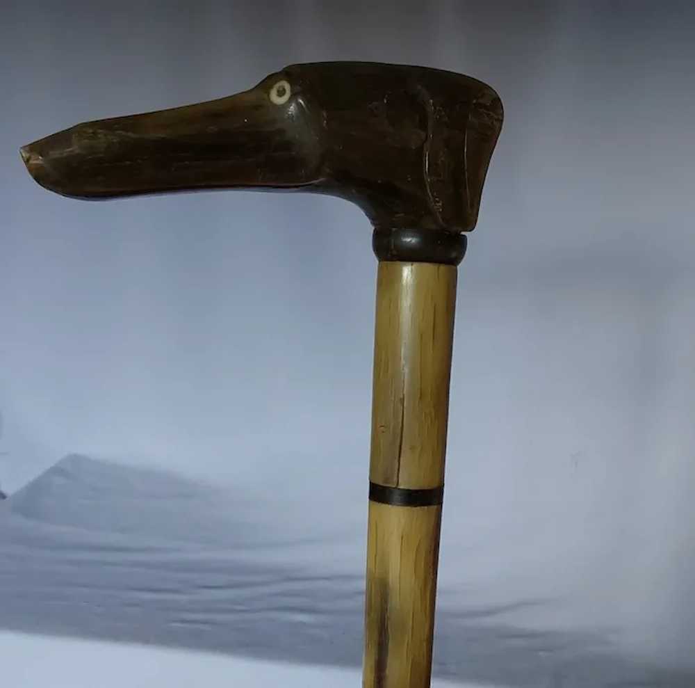 Antique Hand Carved Horn Walking Stick Cane, Dog … - image 7