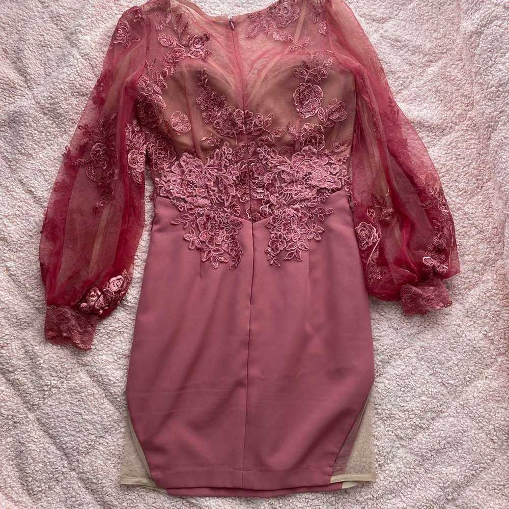 Robe de Fleur Glossy Sheer Pink Long Sleeve Dress… - image 2