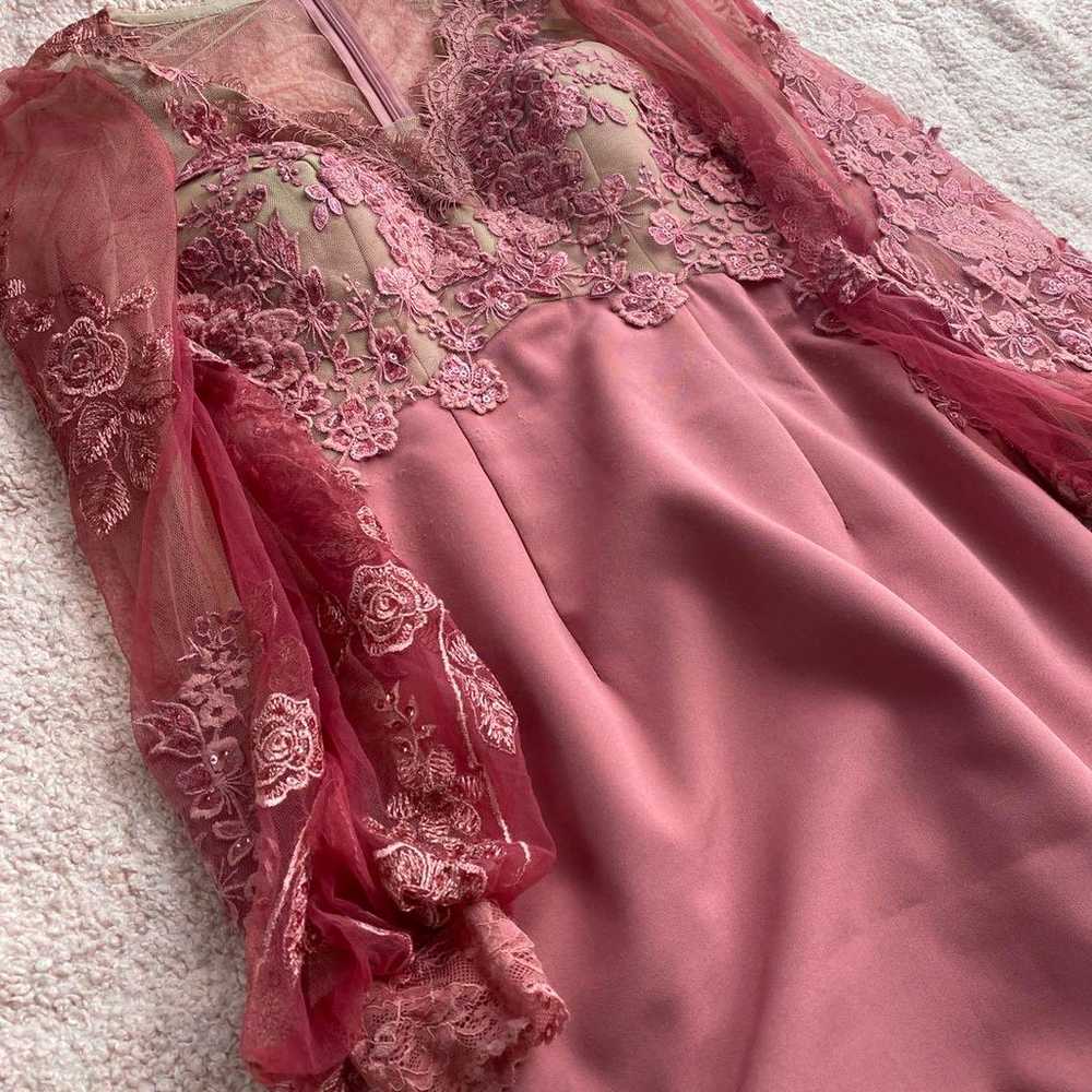 Robe de Fleur Glossy Sheer Pink Long Sleeve Dress… - image 6