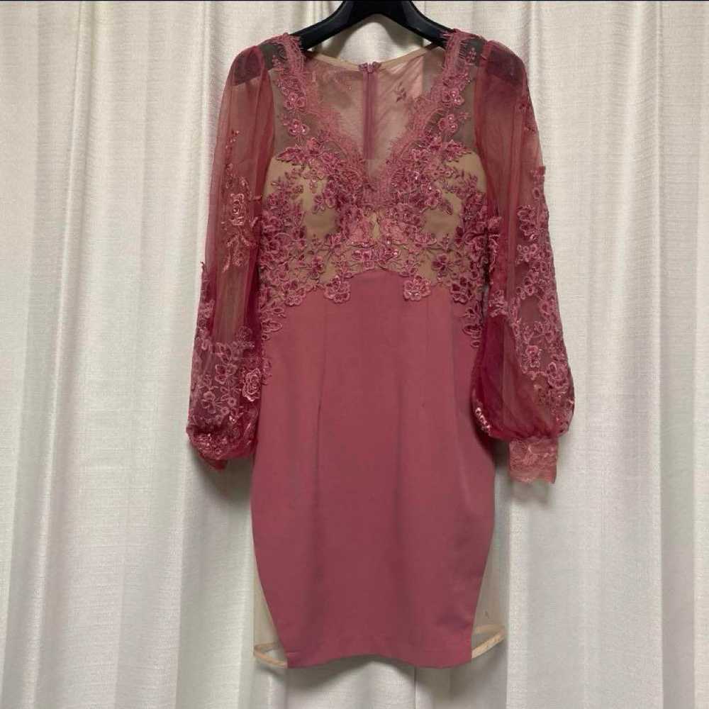 Robe de Fleur Glossy Sheer Pink Long Sleeve Dress… - image 8