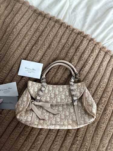 Dior CHRISTIAN DIOR Trotter Romantique Hobo Bag