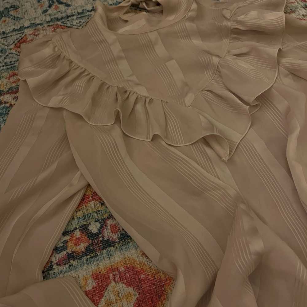 Vintage Victorian Style Sheer Blouse - image 2