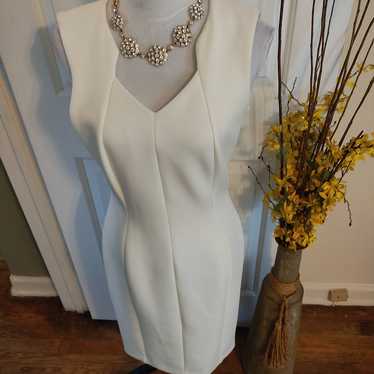 Calvin Klein Winter White V-neck Dress