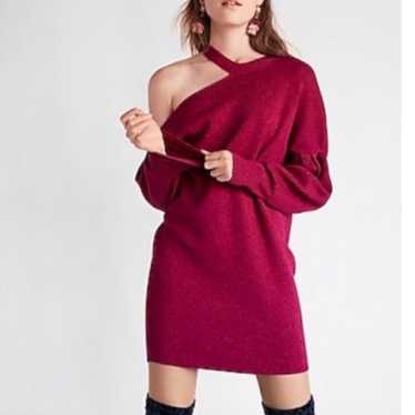 Express sweater dress