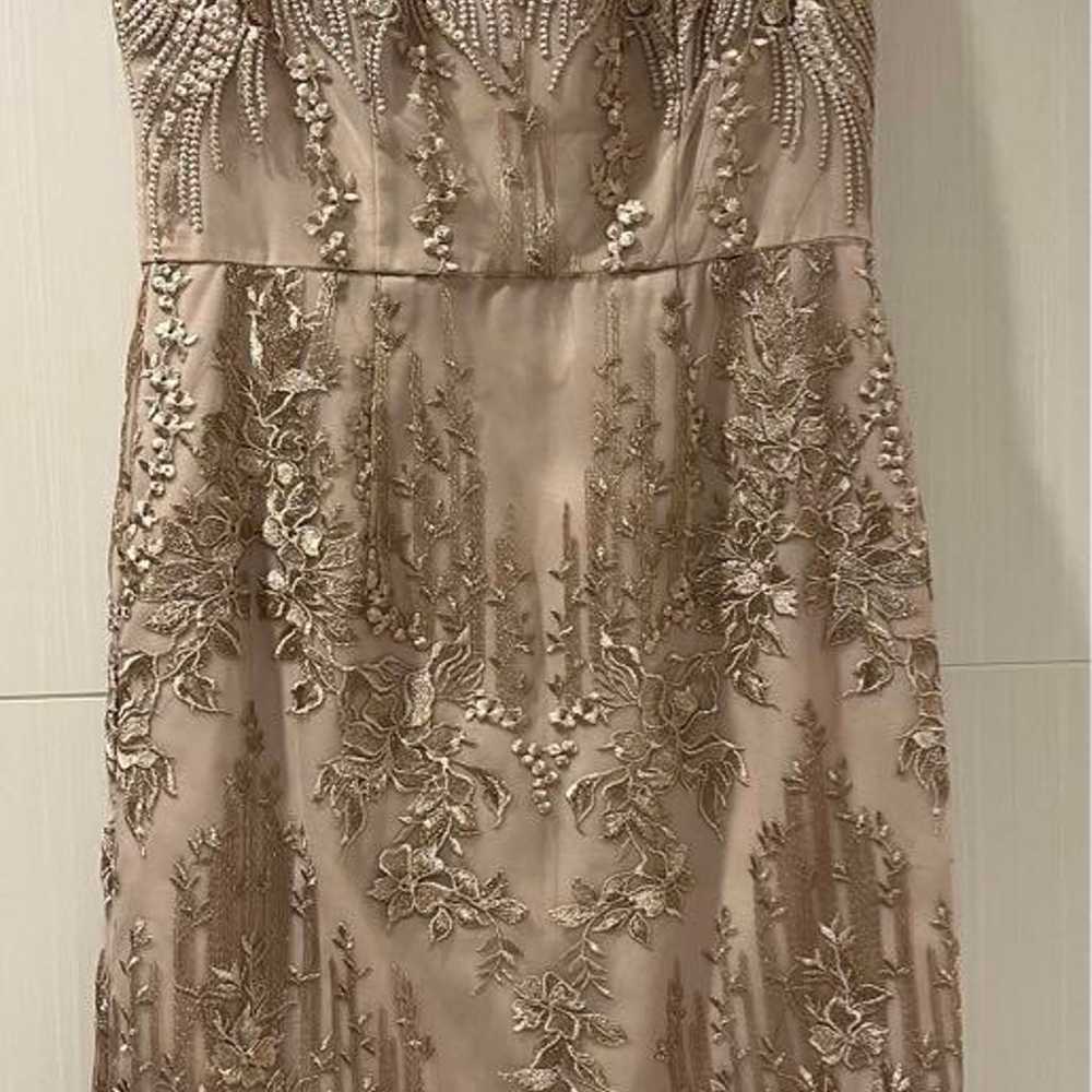 Champagne Pink Gold Embroidered Dress One-Piece - image 1