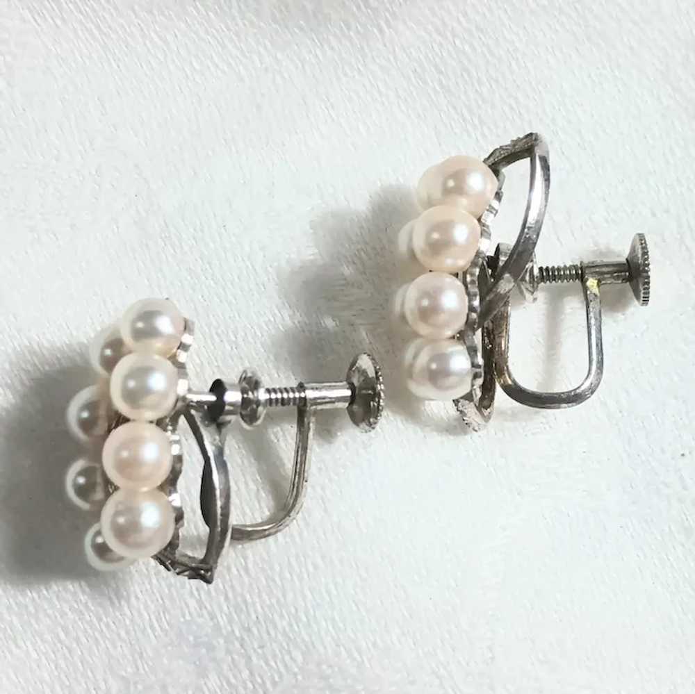 Sterling silver Akoya pearl screw back earrings - image 2