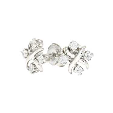 Tiffany & Co. Tiffany & Co Jean Schlumberger earr… - image 1