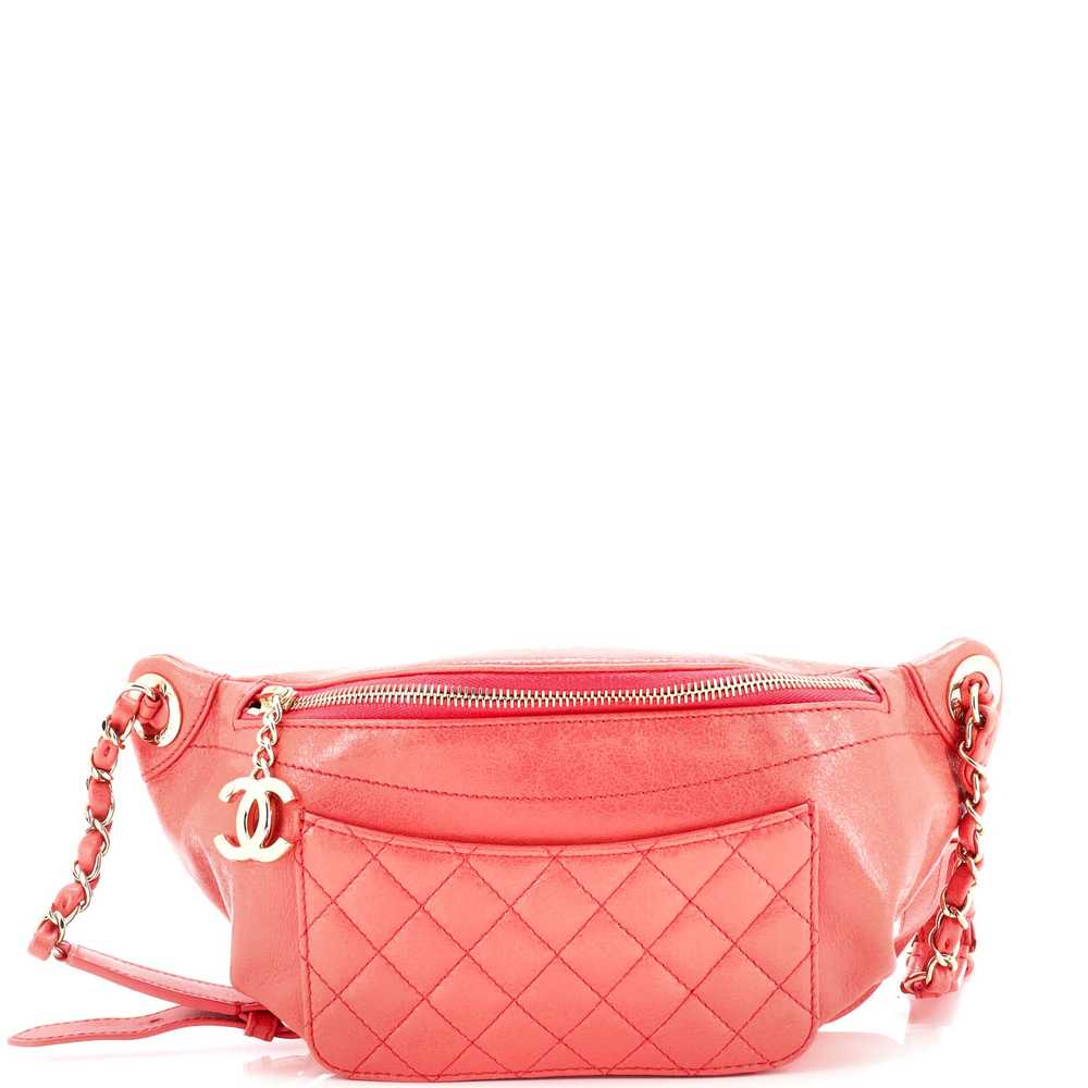 CHANEL Bi Classic Waist Bag Quilted Crumpled Calf… - image 1